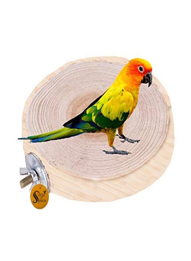Sage Square 4.5 Inches / 12 cm Natural Wood Platform Cum Perch Cum Stand Bird Toy Ideal for Finch, Canary, Lovebird, Budgerigar, Budgeri (Light Weight) - Image 1